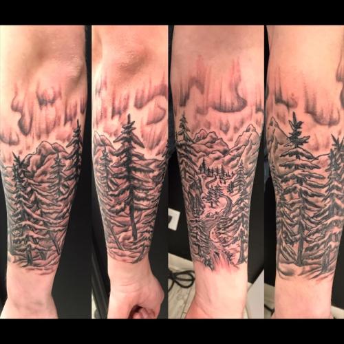 Northern Lights landscape